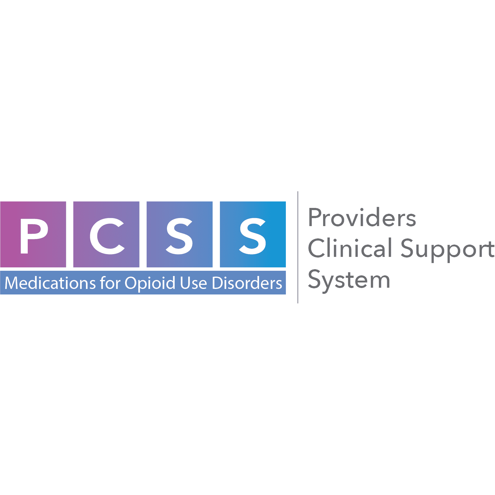 Pcss Icon Providers Clinical Support System | speaking in vector